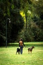 Woman Walks Two Dogs in the Park