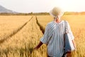 Woman walks through wheat field, woman walks through agricultural field Royalty Free Stock Photo