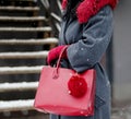 Woman in a warm coat with fur in autumn or winter. Bag red or burgundy with brilok bubo. Royalty Free Stock Photo