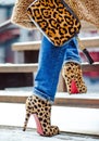 Woman warm fur coat in autumn or winter. Bag and boots in a leopard print. High heels. Fashionable bag close-up in female hands. Royalty Free Stock Photo
