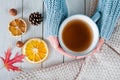 Woman in a warm knit sweater holds a cup of tea in hands on a wooden table Royalty Free Stock Photo