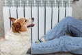 A woman in warm knitted woolen socks and cute corgi dog near a home heater in the cold autumn-winter season. Royalty Free Stock Photo