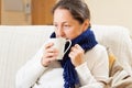 Woman in warm scarf with hot cup Royalty Free Stock Photo