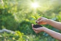 Woman was planting new born in garden background Royalty Free Stock Photo