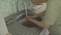 woman washes the dishes