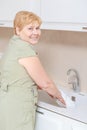 Woman washes dishes in the kitchen Royalty Free Stock Photo