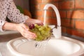 Woman washing fresh grapes in kitchen sink, closeup Royalty Free Stock Photo