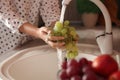 Woman washing fresh grapes in kitchen sink, closeup Royalty Free Stock Photo