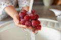 Woman washing fresh grapes in kitchen sink, closeup Royalty Free Stock Photo