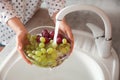 Woman washing fresh grapes in kitchen sink, closeup Royalty Free Stock Photo