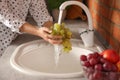 Woman washing fresh grapes in kitchen sink, closeup Royalty Free Stock Photo