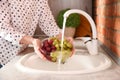 Woman washing fresh grapes in kitchen sink, closeup Royalty Free Stock Photo