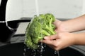 Woman washing fresh green broccoli in kitchen sink Royalty Free Stock Photo