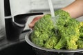 Woman washing fresh green broccoli in kitchen sink Royalty Free Stock Photo