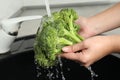 Woman washing fresh green broccoli in kitchen sink, closeup Royalty Free Stock Photo