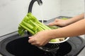 Woman washing fresh green celery in kitchen sink, closeup Royalty Free Stock Photo