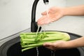 Woman washing fresh green celery in kitchen sink, closeup Royalty Free Stock Photo