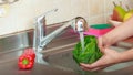 Woman washing fresh vegetables in kitchen Royalty Free Stock Photo