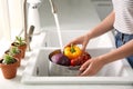 Woman washing fresh vegetables in kitchen sink, closeup Royalty Free Stock Photo