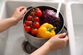 Woman washing fresh vegetables in kitchen sink, closeup Royalty Free Stock Photo