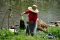 Pengzhou, China: Woman Washing Garlic Greens