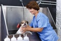 Woman washing havanese at grooming salon Royalty Free Stock Photo