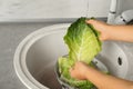 Woman washing leaf of savoy cabbage under tap water in kitchen sink