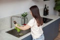 A woman washing vegetables in the kitchen sink. Side view. Royalty Free Stock Photo