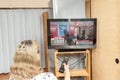 Woman watches the press conference broadcast live on Japanese television by Yoshihide Suga, the new prime minister of Japan