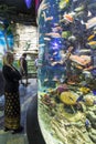 Woman watching aquarium Dubai