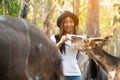 Woman watching and feeding animal in zoo