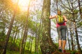 Woman watching pine forest. Focus on traveller