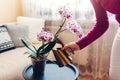 Woman watering blooming orchid from metal watering can. Girl taking care of home plants and flowers