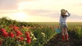 Woman with watering can walking near rose bushes. Gardening tool Royalty Free Stock Photo