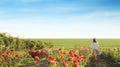 Woman with watering can walking near rose bushes. Gardening tool Royalty Free Stock Photo