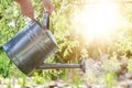 Woman Watering Flower Bed Using Watering Can. Gardening Hobby Concept. Flower Garden.
