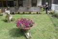 Woman watering flowers in front yard Royalty Free Stock Photo