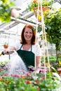 Woman watering flowers in a nursery - Greenhouse with coloured plants for sale Royalty Free Stock Photo