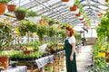 Woman watering flowers in a nursery - Greenhouse with coloured plants for sale Royalty Free Stock Photo