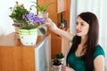 Woman watering flowers in pots at home Royalty Free Stock Photo