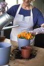 Close up of woman watering freshly planted flowers