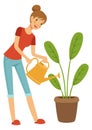 Woman watering houseplant from can. Home gardening