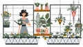 Woman watering houseplants on balcony, gardening hobby vector illustration