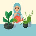 Woman watering houseplants. Beautiful girl waters flowers at home. Muslim girl in hidjab care about house plants with