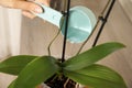 Woman watering orchid plant on window sill