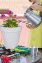 Woman watering pansy flowers on her city balcony garden. Urban gardening concept Royalty Free Stock Photo