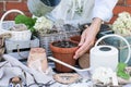 Woman watering planted seeds in flower ot in soil