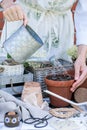 Woman watering planted seeds in flower pot in soil, floriculture, flower planting Royalty Free Stock Photo