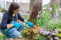 Woman watering plants in a flower bed in the backyard using a hose. Royalty Free Stock Photo