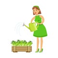 Woman Watering Sprouts In Crate , Contributing Into Environment Preservation By Using Eco-Friendly Ways Illustration